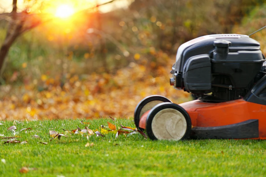 Common Lawn Diseases And How Professional Care Helps in East Brunswick, NJ