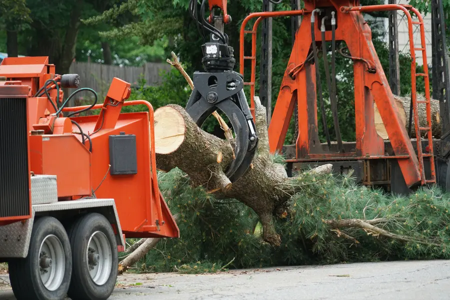 Excellent Tree Service East Brunswick, NJ Excellent Tree Service East Brunswick, NJ