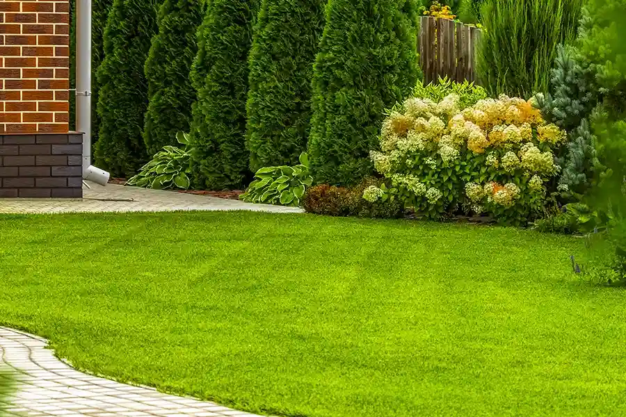 Expert Lawn Care Service East Brunswick, NJ Expert Lawn Care Service East Brunswick, NJ
