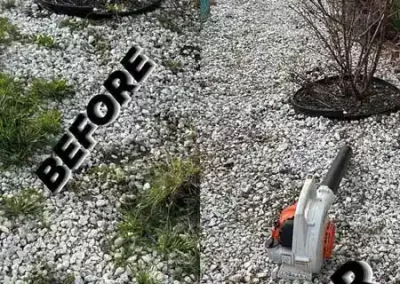 Landscape Company