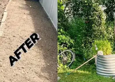 Landscape Company