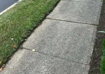Landscape Company