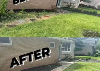 Landscape Company