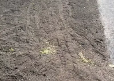 Landscape Company