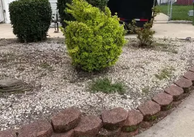 Landscape Contractor