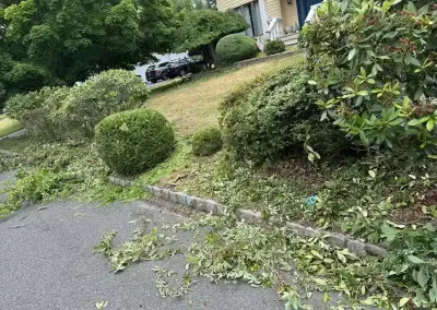 Landscape Maintenance
