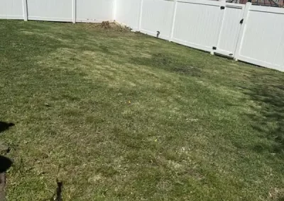 Landscaping Services