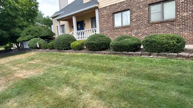 Lawn Care Service