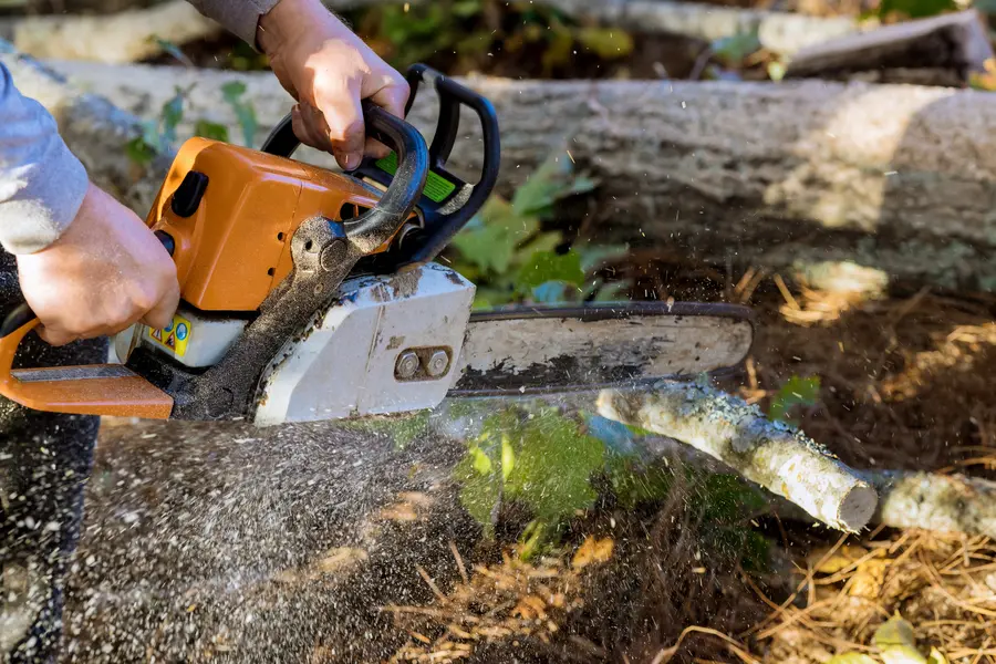 Local Tree Service East Brunswick, NJ Local Tree Service East Brunswick, NJ