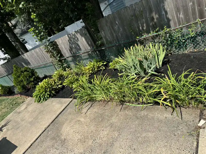 Patio Landscaping