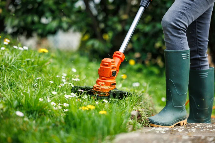 Professional Lawn Care Service East Brunswick, NJ Professional Lawn Care Service East Brunswick, NJ