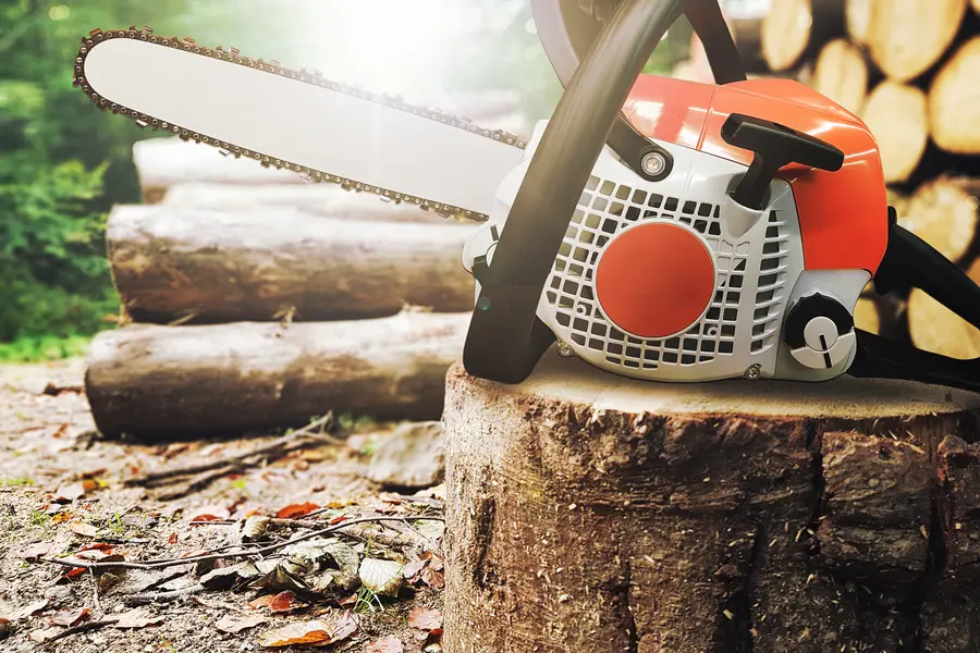 The Right Time Of Year For Tree Trimming And Pruning in East Brunswick, NJ