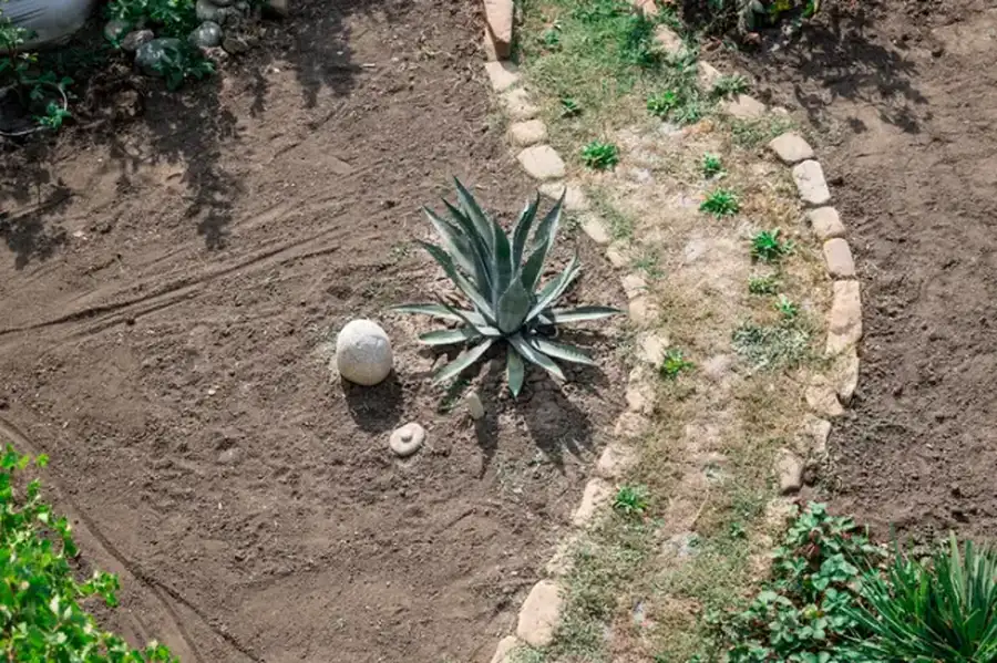 Tips For Long-term Care After Landscape Installation East Brunswick, NJ