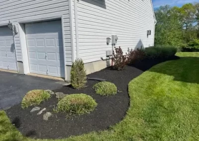 Backyard Landscaping