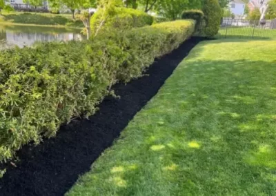 Landscape Installation